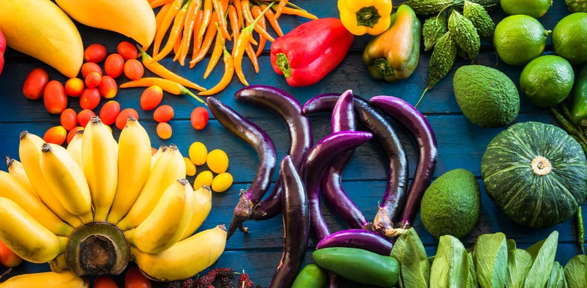 Ducon Diet Products